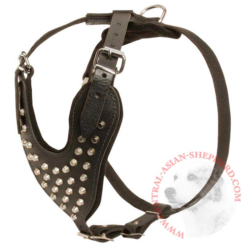 Adjustable Leather Central Asian Shepherd Harness Studded for Fashion Walking