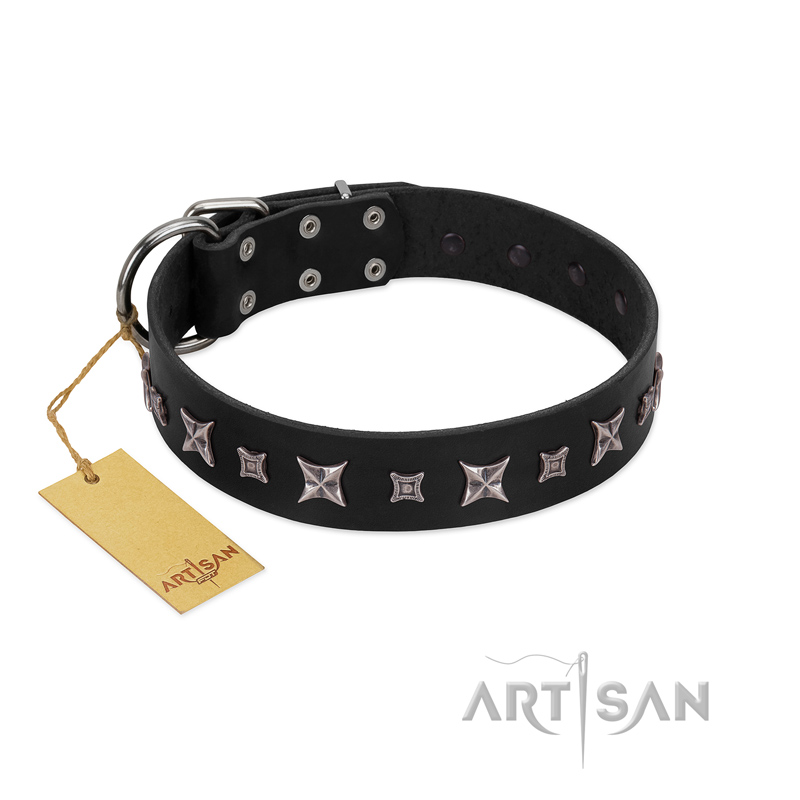 "Polar Lights" Designer FDT Artisan Black Leather Central Asian Shepherd Collar with Silver-Like Studs