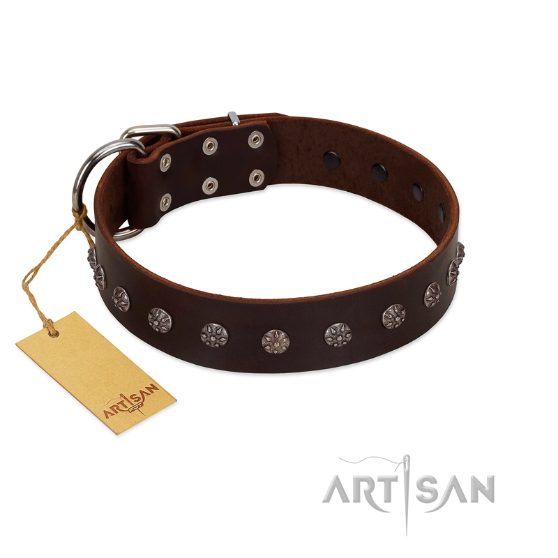 "Graceful Classic" Mod FDT Artisan Brown Leather Central Asian Shepherd Collar