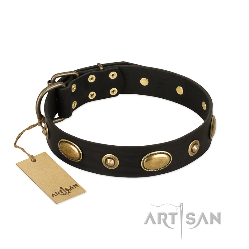 "Eye-Catcher" FDT Artisan Black Leather Central Asian Shepherd Collar for Walking in Style