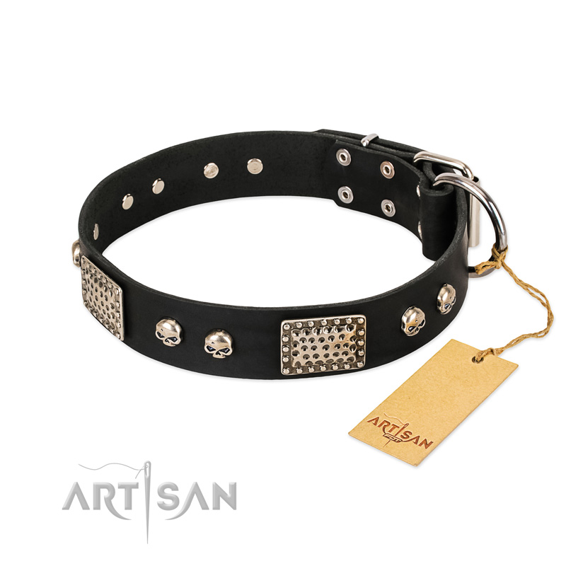 "Pirates Gold" FDT Artisan Black Leather Central Asian Shepherd Collar with Old Silver Look Plates and Skulls