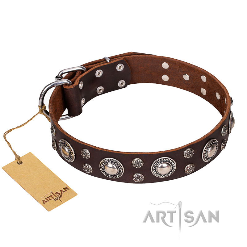 "Age of Beauty" FDT Artisan Incredible Studded Brown Leather Central Asian Shepherd Collar
