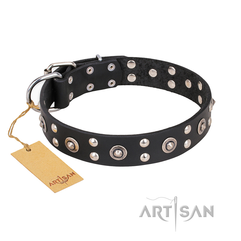 "Refined Essence" FDT Artisan Black Leather Central Asian Shepherd Collar with Silvery Studs