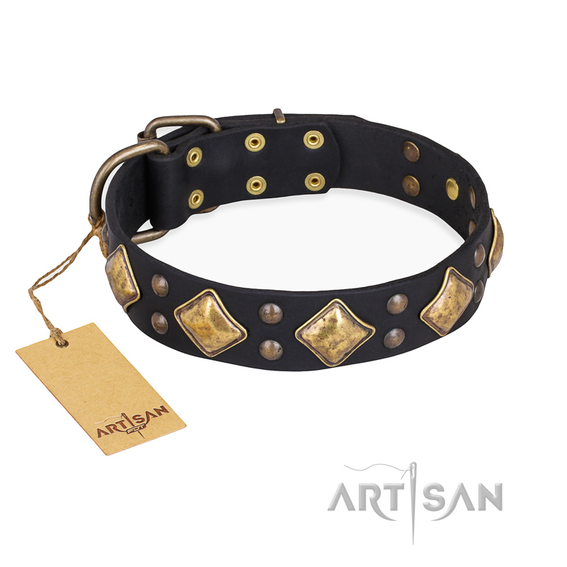 dressy dog collars