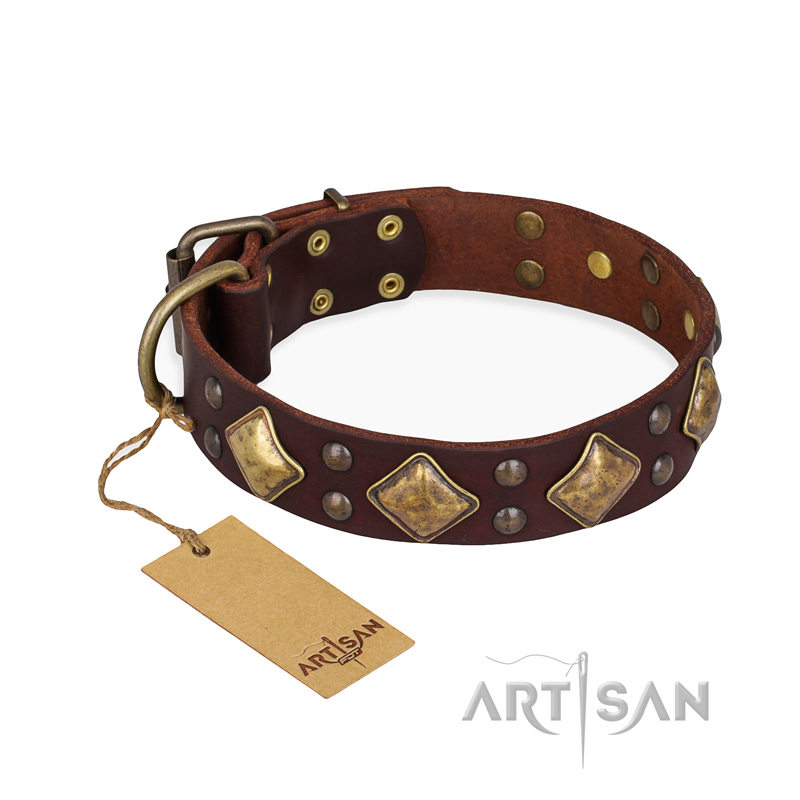 "Golden Square" FDT Artisan Brown Leather Central Asian Shepherd Collar with Large Squares