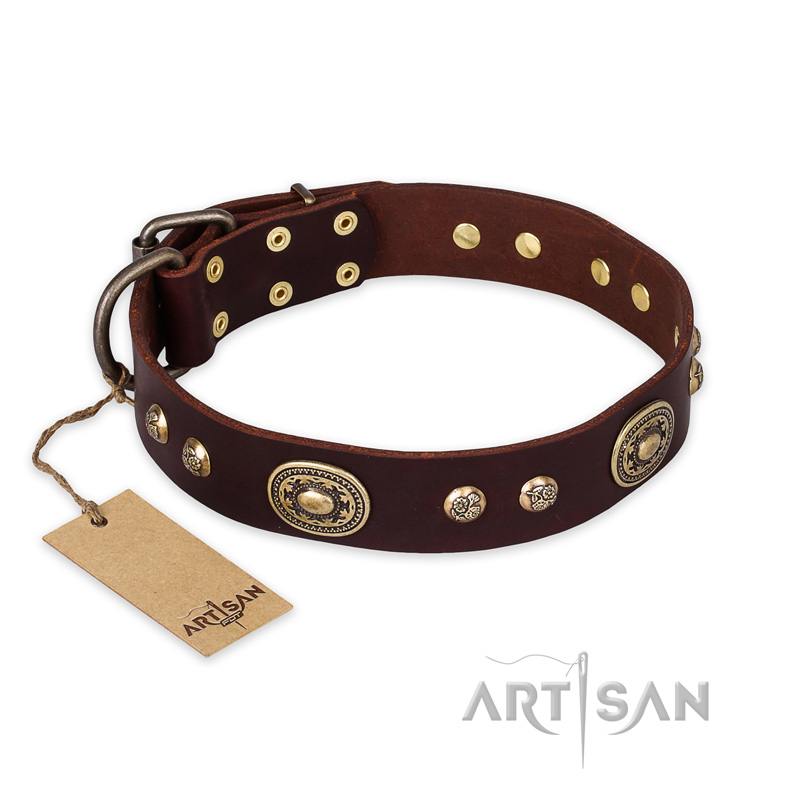 "Breath of Elegance" FDT Artisan Decorated with Plates Brown Leather Central Asian Shepherd Collar