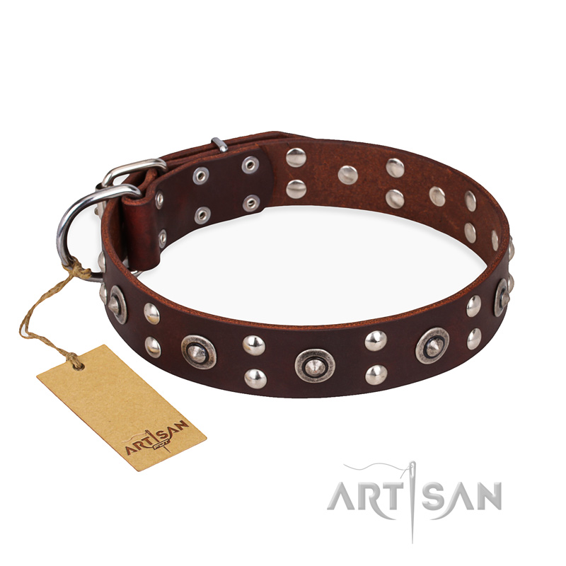 "Pirate Treasure" FDT Artisan Exciting Brown Leather Central Asian Shepherd Collar with Studs