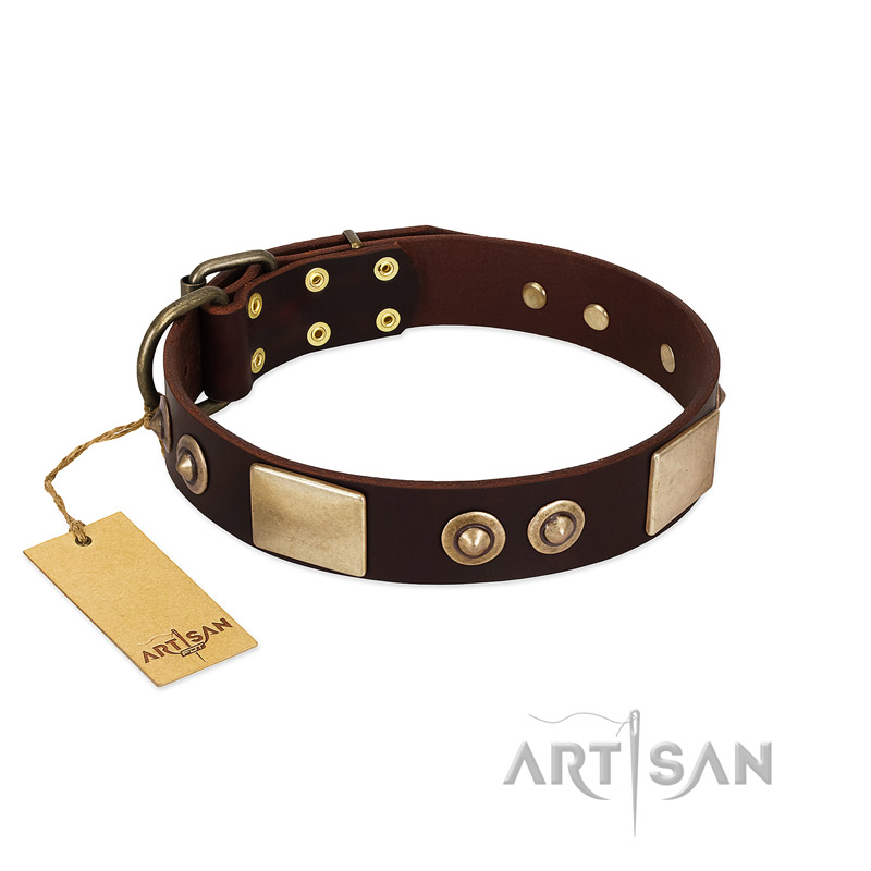 "Sense of Freedom" FDT Artisan Brown Leather Central Asian Shepherd Collar with Old Bronze-Plated Studs and Plates