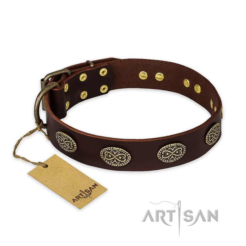 "Chocolate kiss" FDT Artisan Leather Central Asian Shepherd Collar with Old Bronze Look Oval Plates