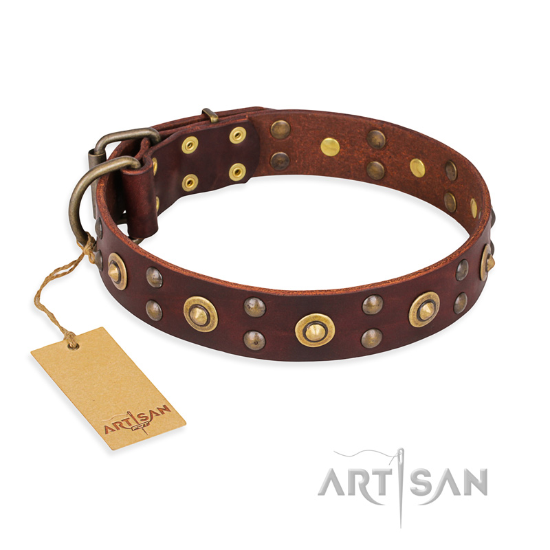 "Caprice of Fashion" FDT Artisan Brown Leather Central Asian Shepherd Collar with Round Decorations