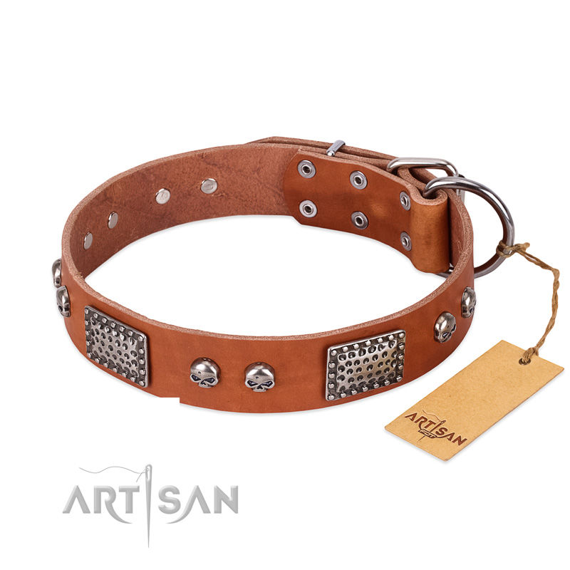 "Sparkling Skull" FDT Artisan Tan Leather Central Asian Shepherd Collar with Old Silver Look Plates and Skulls