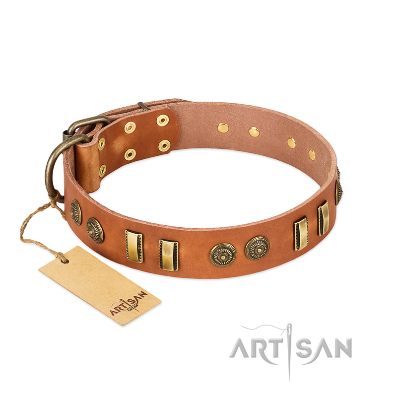 "Natural Beauty" FDT Artisan Tan Leather Central Asian Shepherd Collar with Old Bronze-like Circles and Plates