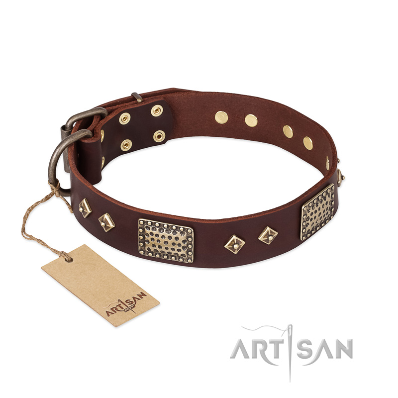 "Loving Owner" FDT Artisan Decorated Leather Central Asian Shepherd Collar with Plates and Studs