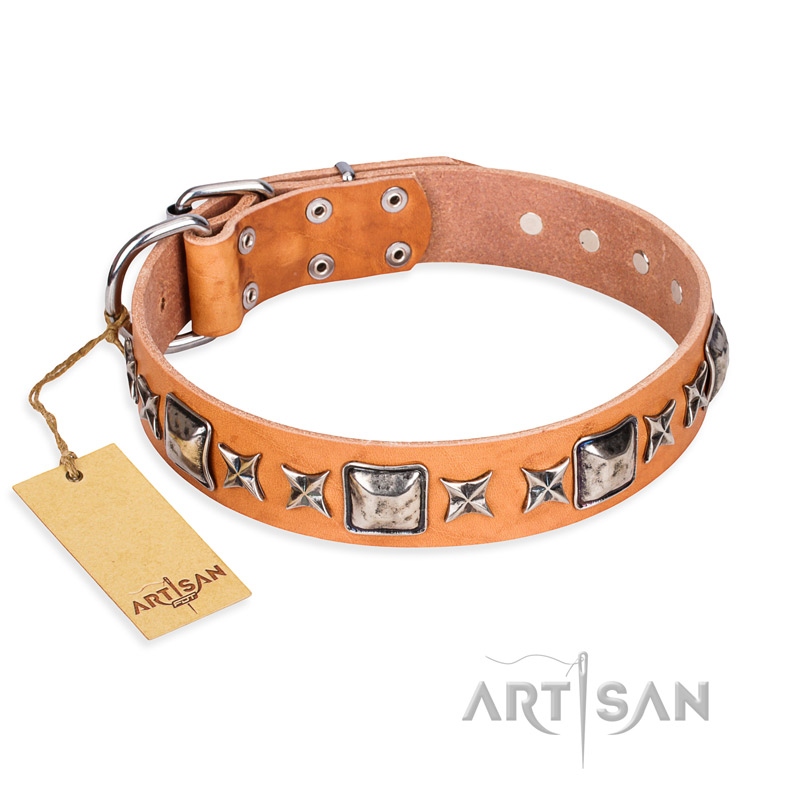 "Glamour Finery" FDT Artisan Female Central Asian Shepherd collar of natural leather with stylish old-looking circles