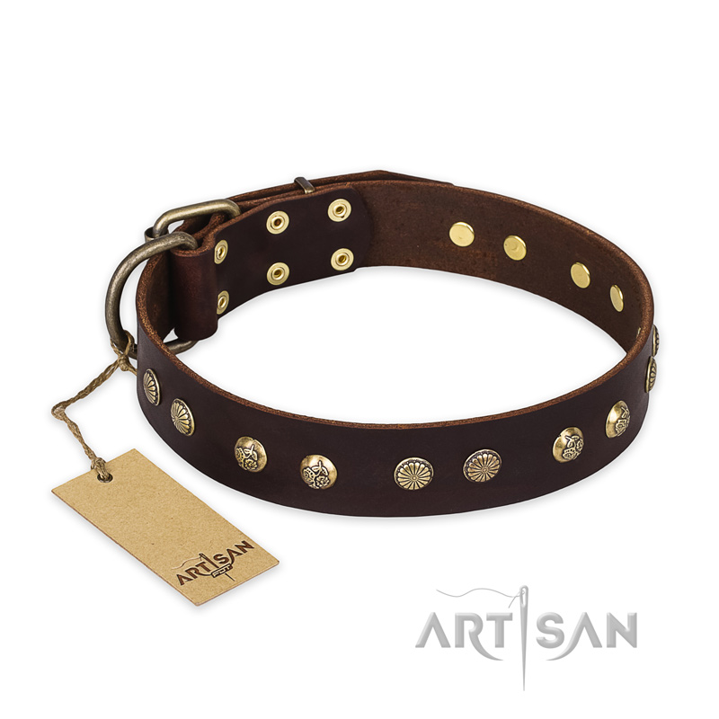 "Bronze Sheen" FDT Artisan Leather Central Asian Shepherd Collar with Brass-Plated Studs