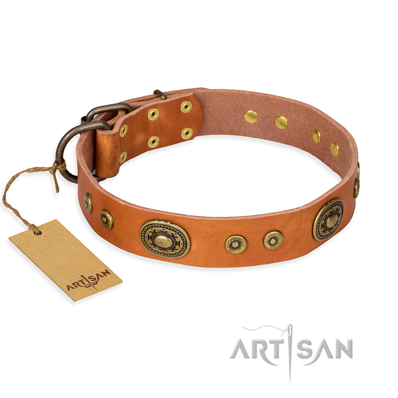 "Dandy Pet" FDT Artisan Handcrafted Tan Leather Central Asian Shepherd Collar