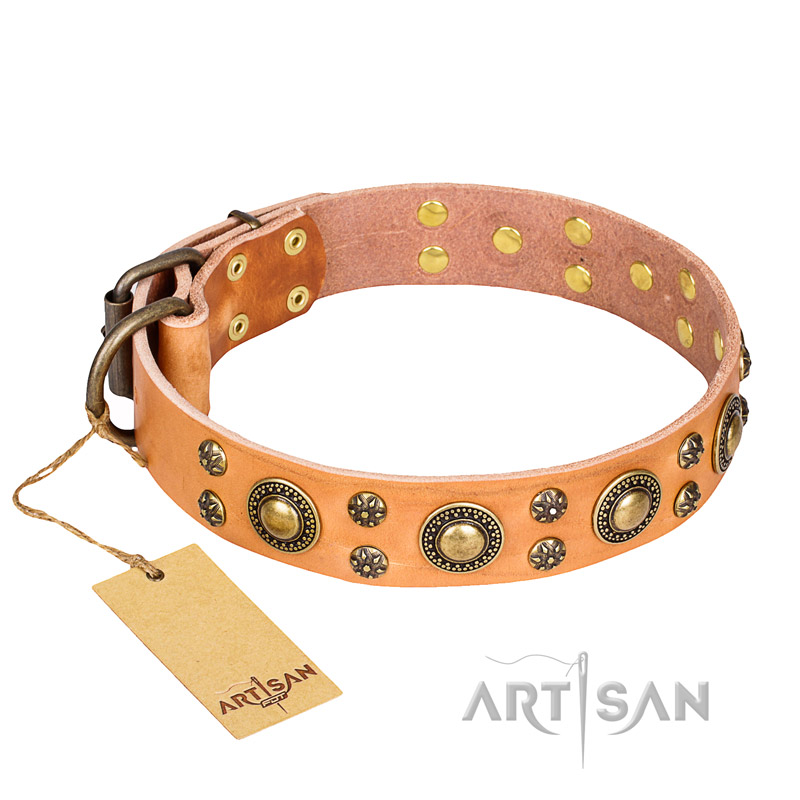 "Sophisticated Glamor" FDT Artisan Leather Central Asian Shepherd Collar with Fancy Old Bronze-like Plated Decorations