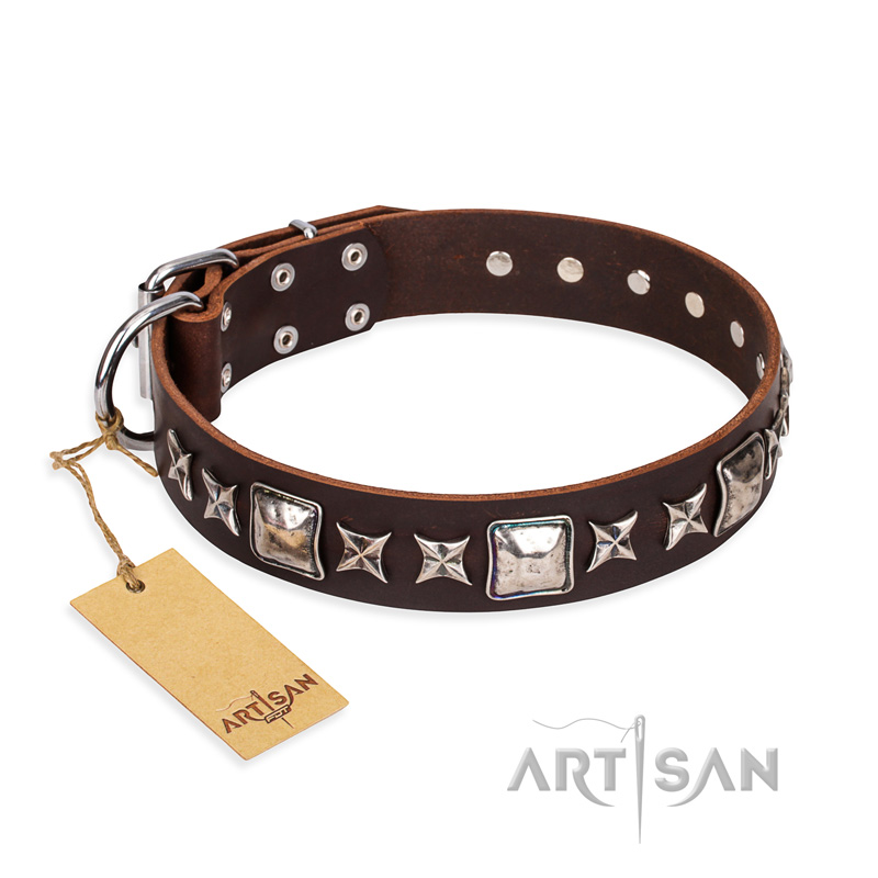 "Perfect Impression" FDT Artisan Brown Leather Central Asian Shepherd Collar with Silvery Square Studs