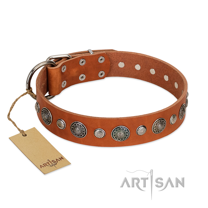 "Natural Beauty" FDT Artisan Tan Leather Central Asian Shepherd Collar with Shining Silver-like Studs