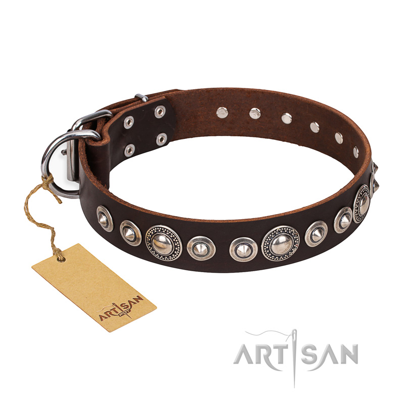 "Step and Sparkle" FDT Artisan Glamorous Studded Brown Leather Central Asian Shepherd Collar