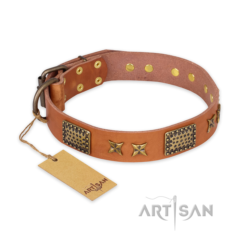 "Cosmic Traveller" FDT Artisan Adorned Leather Central Asian Shepherd Collar with Old Bronze-Plated Stars and Plates