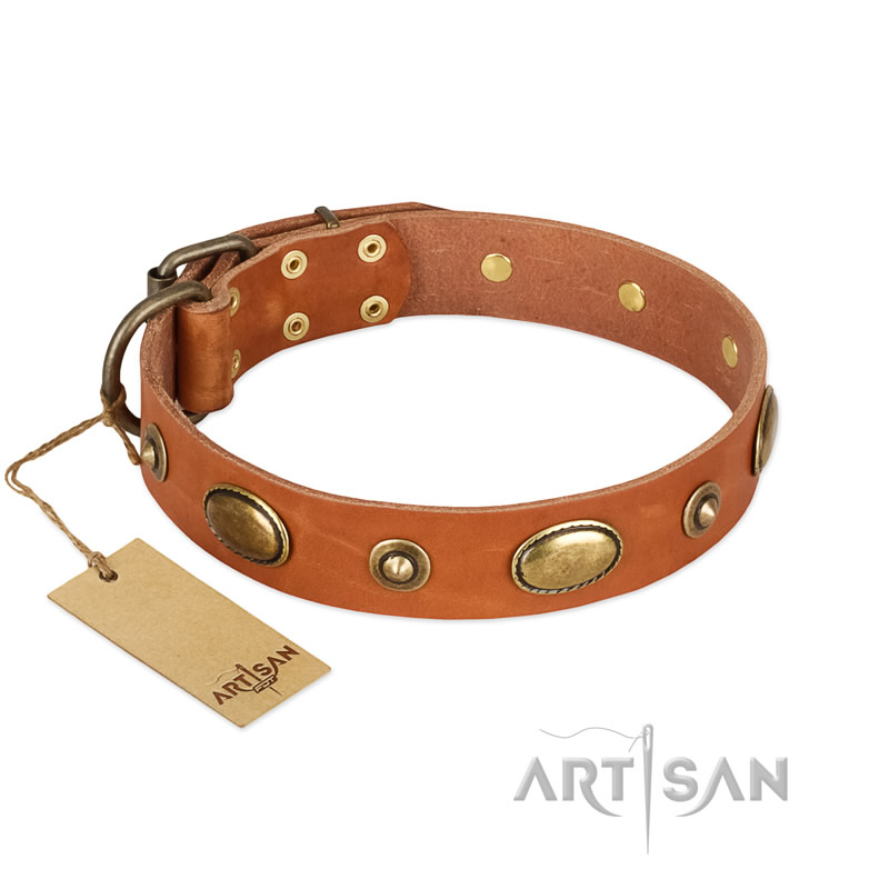 "Visual Magic" FDT Artisan Tan Leather Central Asian Shepherd Collar for Daily Activities