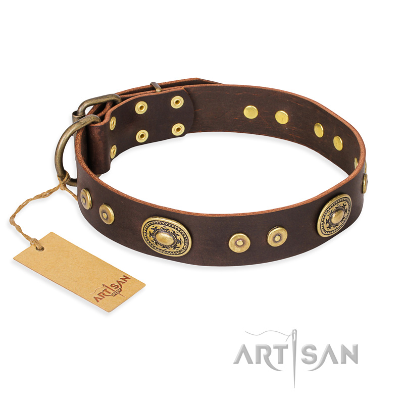 "One-of-a-Kind" FDT Artisan Handmade Decorated Brown Leather Central Asian Shepherd Collar