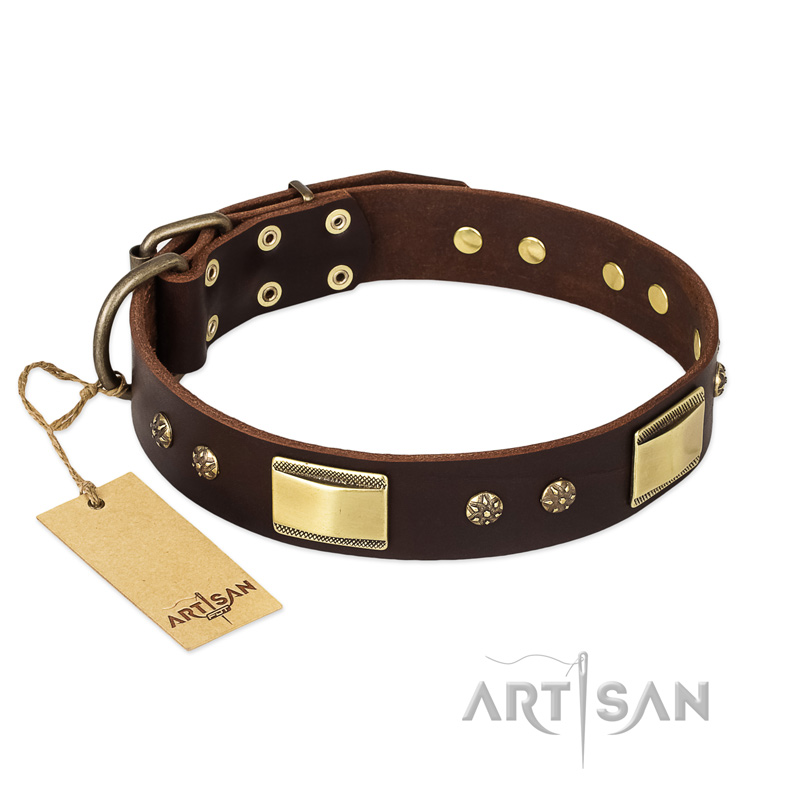 "Rich Fashion" FDT Artisan Decorated Leather Central Asian Shepherd Collar with Plates and Studs