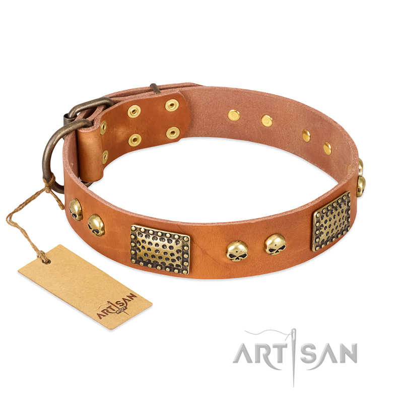 "Saucy Nature" FDT Artisan Tan Leather Central Asian Shepherd Collar with Old Bronze Look Plates and Skulls