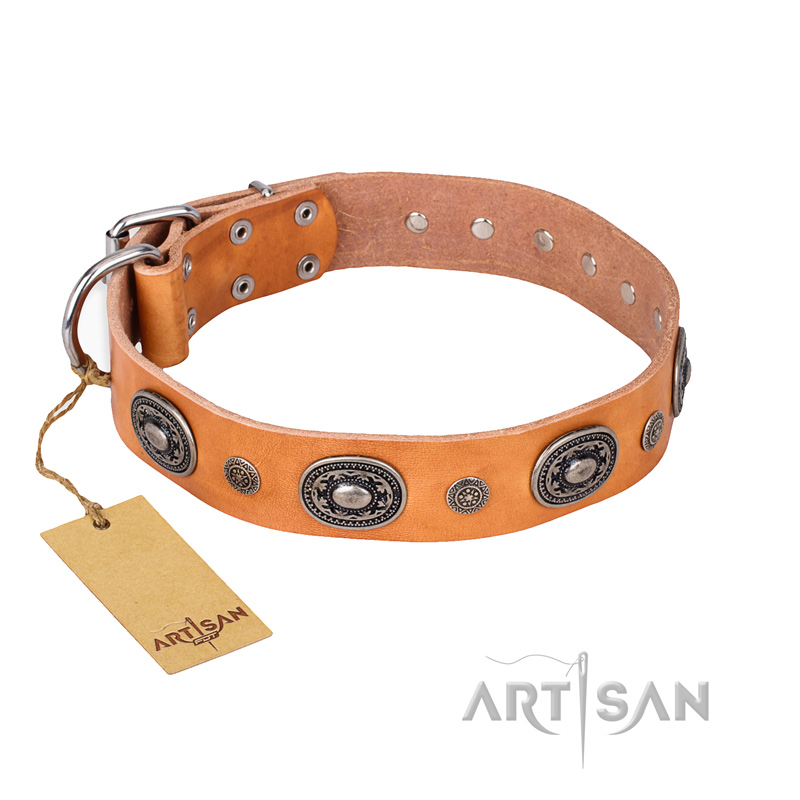 "Twinkle Twinkle" FDT Artisan Incredible Studded Tan Leather Central Asian Shepherd Collar