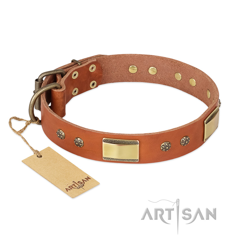 "Enchanting Spectacle" FDT Artisan Tan Leather Central Asian Shepherd Collar with Old Bronze Look Plates and Round Studs
