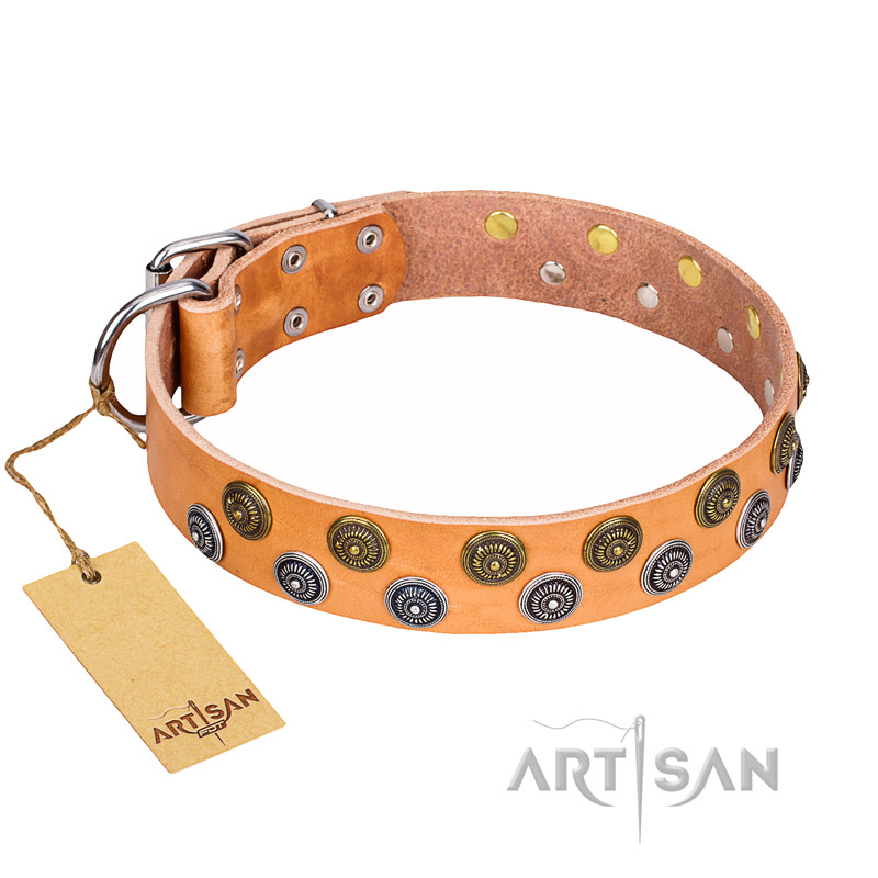 "Precious Sparkle" FDT Artisan Handcrafted Tan Leather Central Asian Shepherd Collar