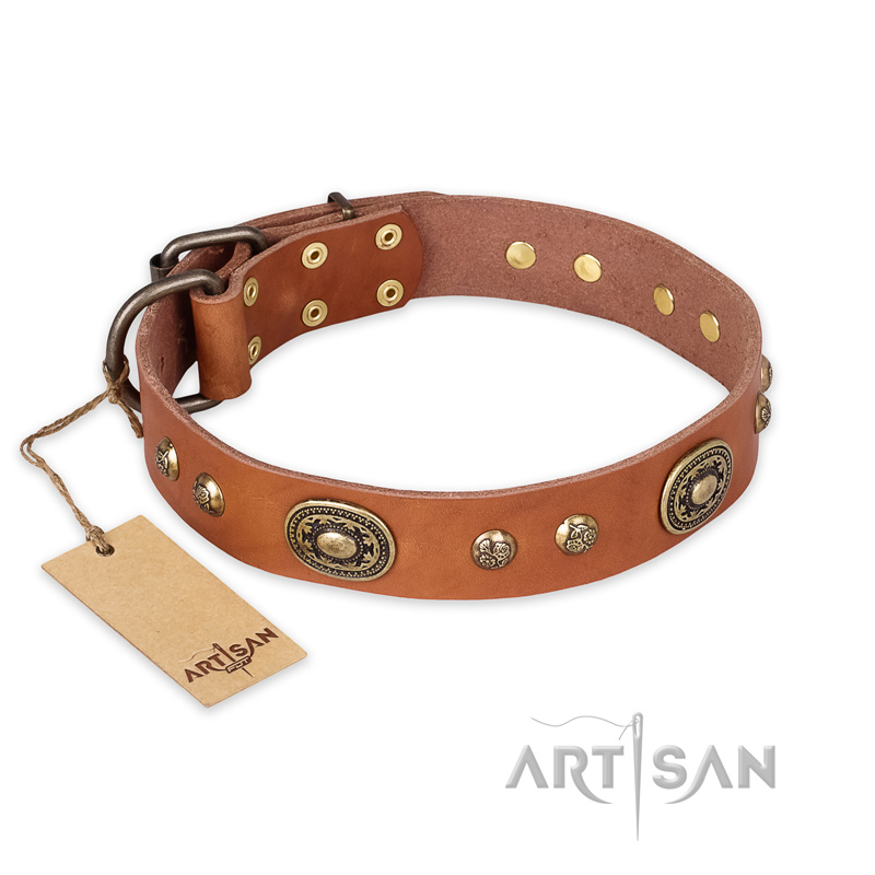 "Stunning Dress" FDT Artisan Tan Leather Central Asian Shepherd Collar with Old Bronze Look Plates and Studs