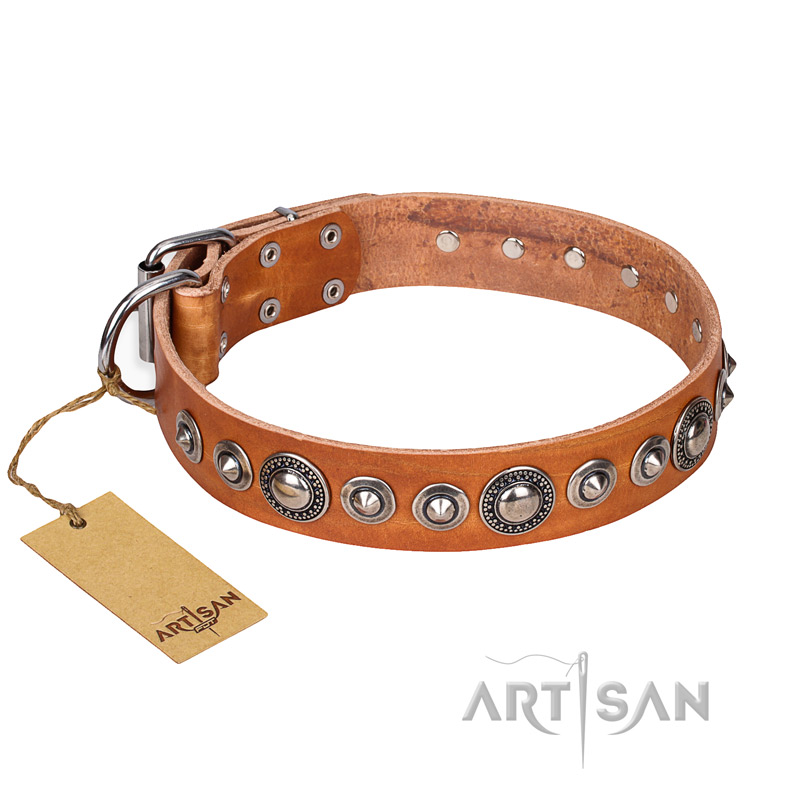 "Daily Chic" FDT Artisan Tan Leather Central Asian Shepherd Collar with Decorations
