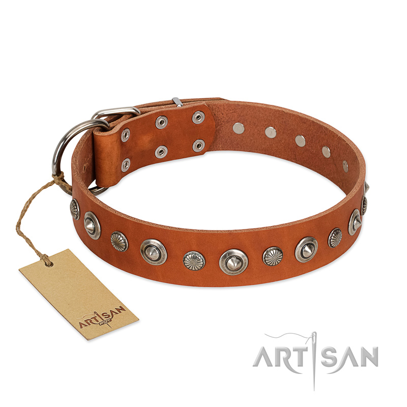 "Gorgeous Roundie" FDT Artisan Tan Leather Central Asian Shepherd Collar with Chrome-plated Circles