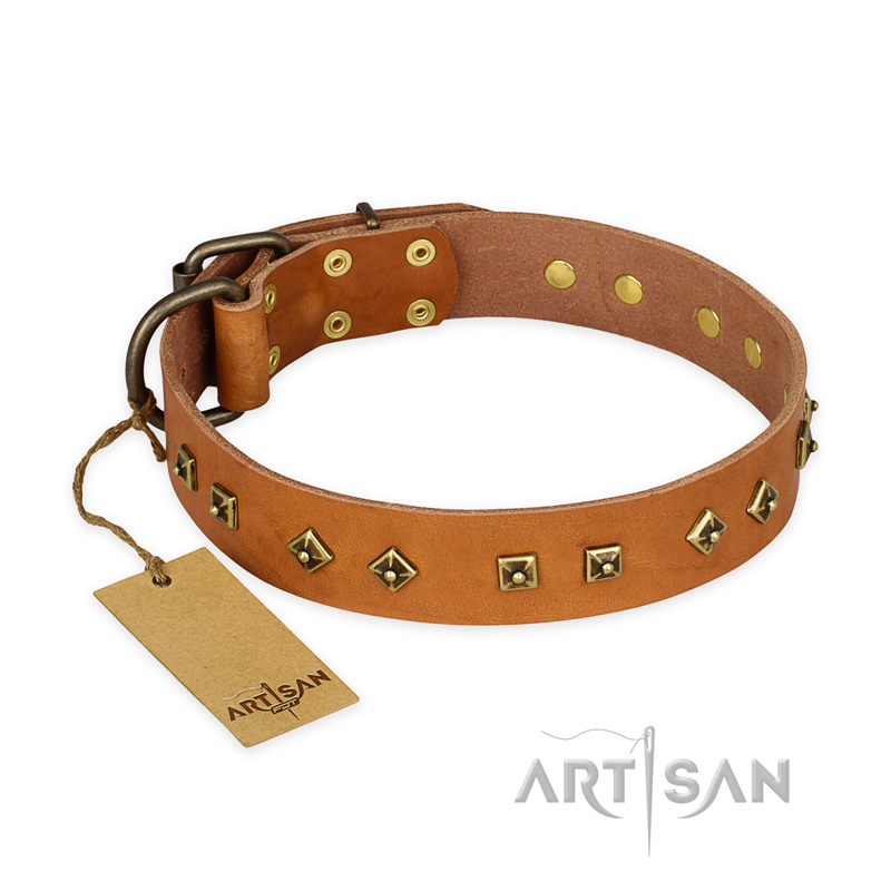"Autumn Story" FDT Artisan Leather Central Asian Shepherd Collar with Old Bronze Look Studs
