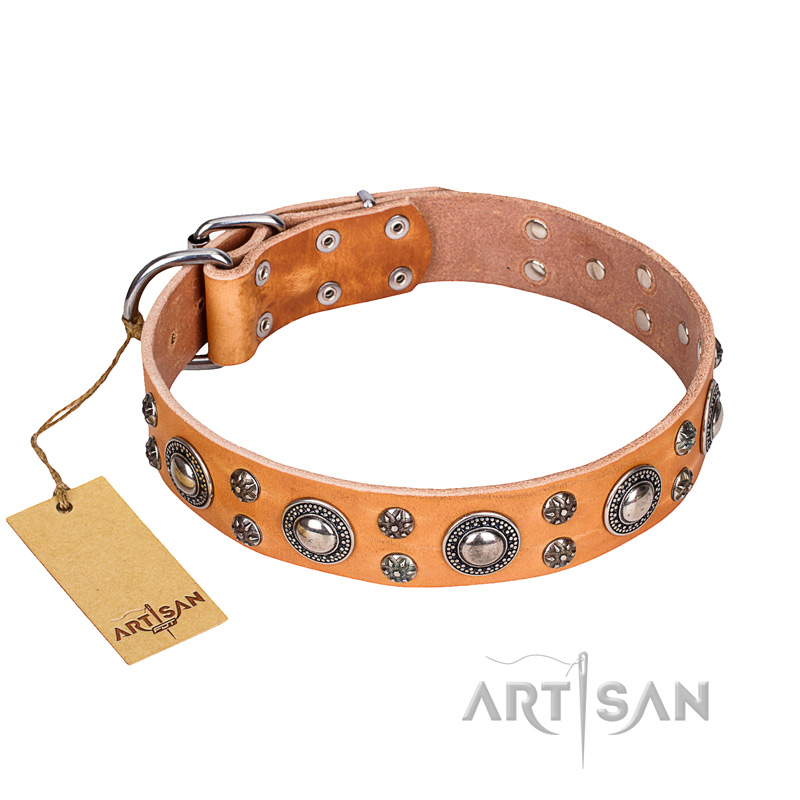 "Extra Sparkle" FDT Artisan Handcrafted Tan Leather Central Asian Shepherd Collar