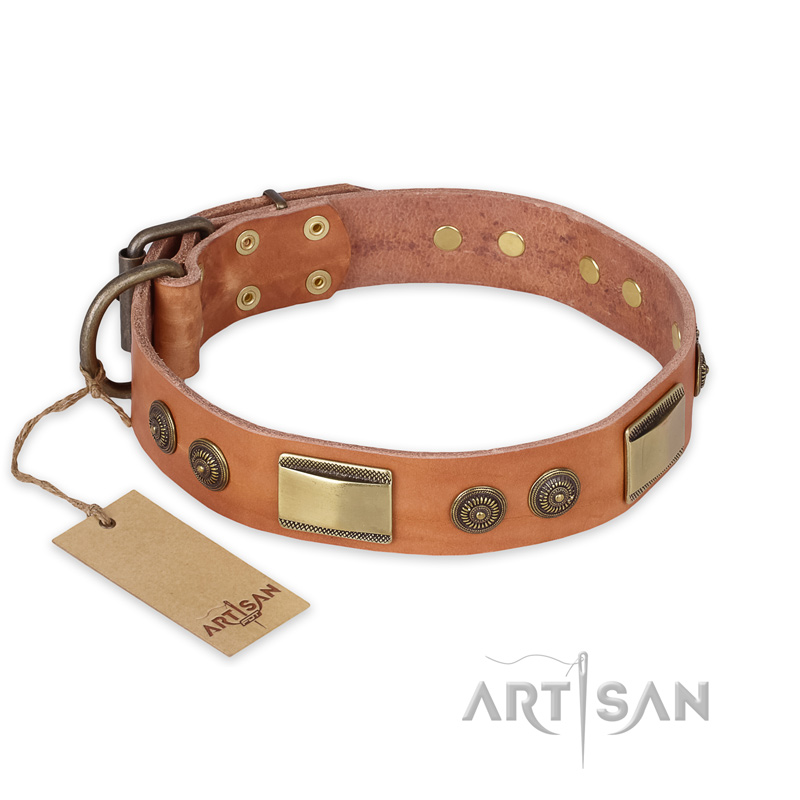 "Lost Desert" FDT Artisan Leather Central Asian Shepherd Collar with Brass Decorations