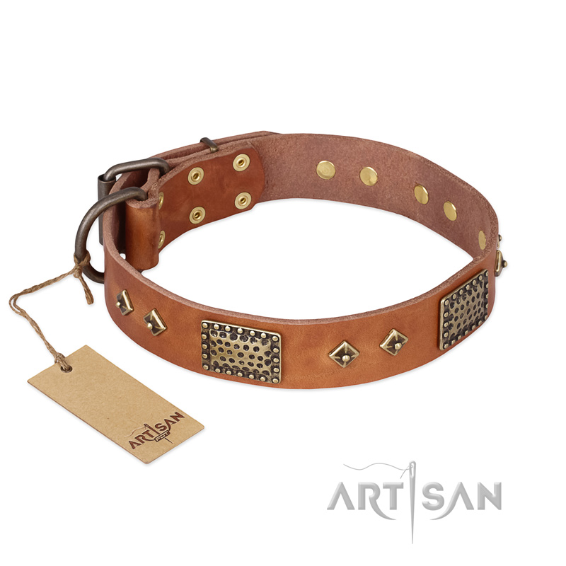 "Catchy Look" FDT Artisan Decorated Tan Leather Central Asian Shepherd Collar