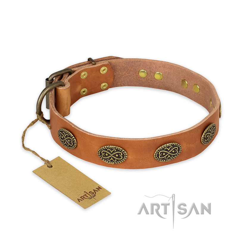 "Magic Amulet" FDT Artisan Tan Leather Central Asian Shepherd Collar with Oval Studs