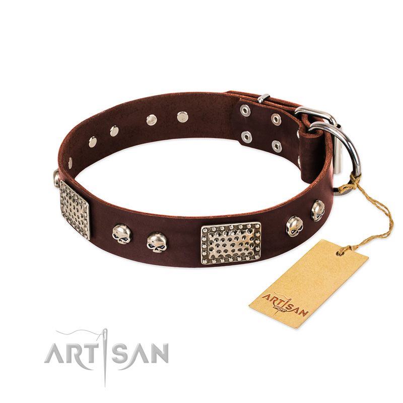 "Pirate Skull" FDT Artisan Brown Leather Central Asian Shepherd Collar with Old Silver Look Plates and Skulls