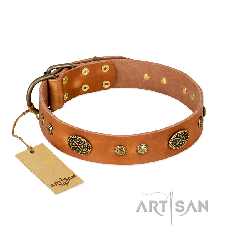 "Sun Beams" FDT Artisan Tan Leather Central Asian Shepherd Collar with Decorations