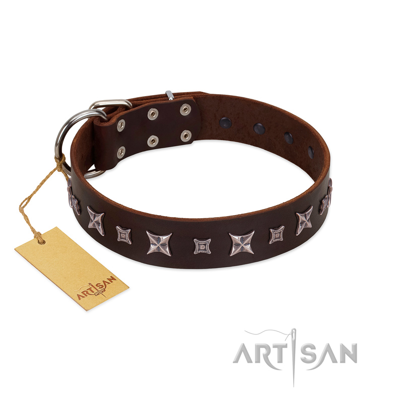 "Stellar Fairy " FDT Artisan Brown Leather Central Asian Shepherd Collar with Chrome-plated Star-like Decorations