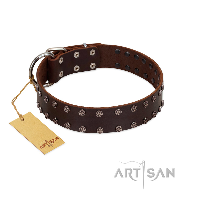 "Star Party" Handmade FDT Artisan Brown Leather Central Asian Shepherd Collar with Silver-Like Studs