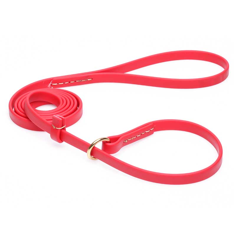 Durable Red Biothane Central Asian Shepherd Leash and Collar Combo