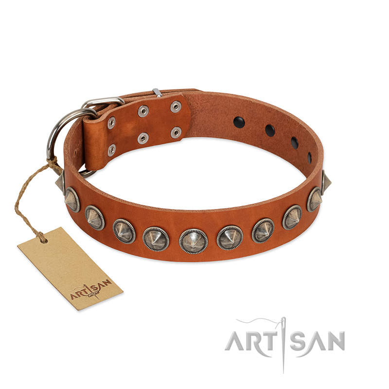 "Silver Spike" Handmade FDT Artisan Tan Leather Central Asian Shepherd Collar with Old Silver-Like Spikes