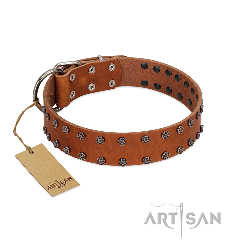 "Star Light" Stylish FDT Artisan Tan Leather Central Asian Shepherd Collar with Silver-Like Studs