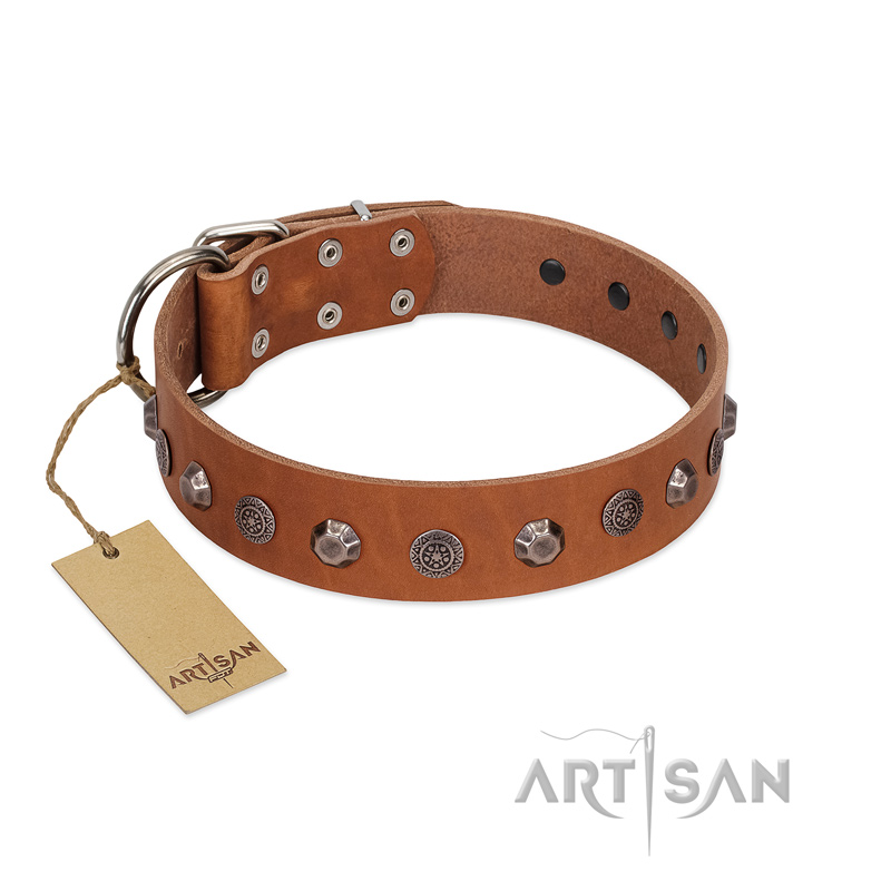 "Silver Age" Fashionable FDT Artisan Tan Leather Central Asian Shepherd Collar with Silver-Like Studs