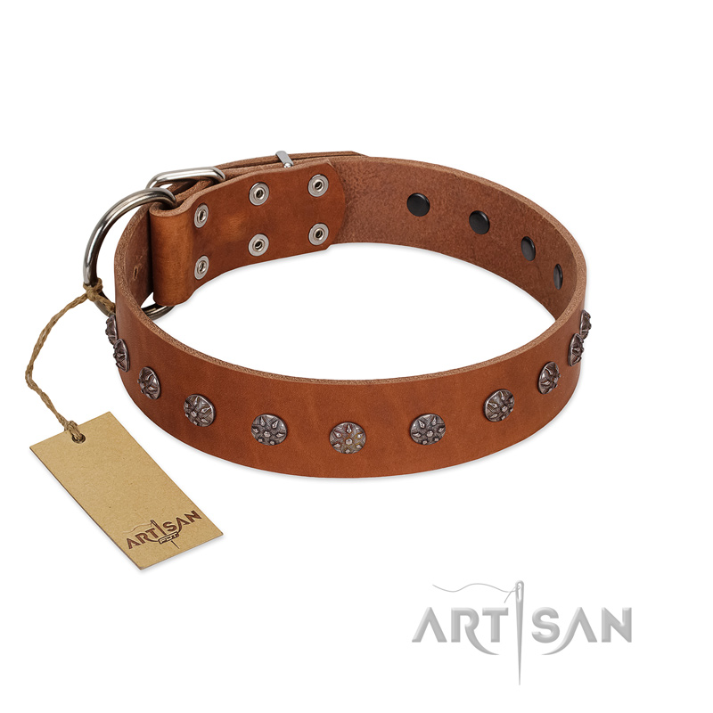 "Daintiness" Designer Handmade FDT Artisan Tan Leather Central Asian Shepherd Collar with Silver-Like Adornments