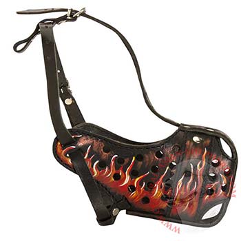 Trraining Central Asian Shepherd Muzzle